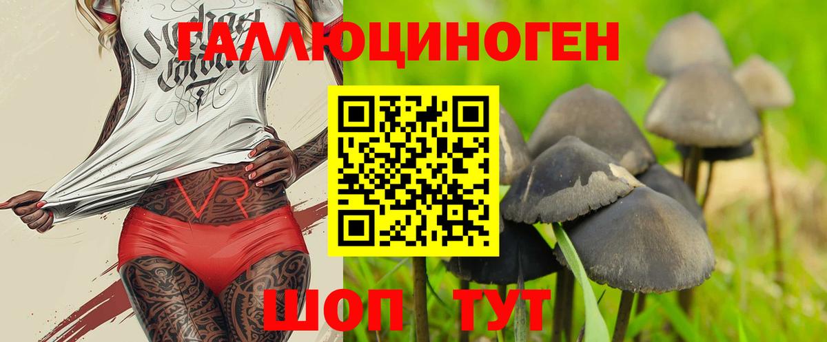 Галлюциногенные грибы Psilocybine cubensis  Вход с VPN  Киселёвск 
